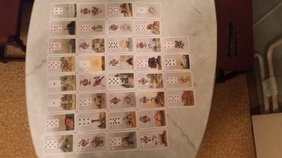 Практика БР Ленорман - 20161204_225545.jpg