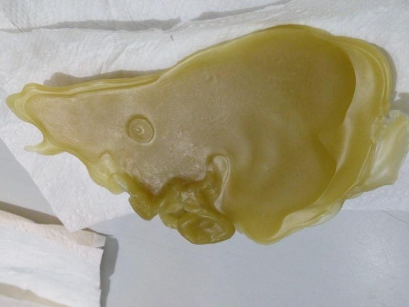 ОТЛИВКИ ВОСКОМ - 20161224_182520.jpg