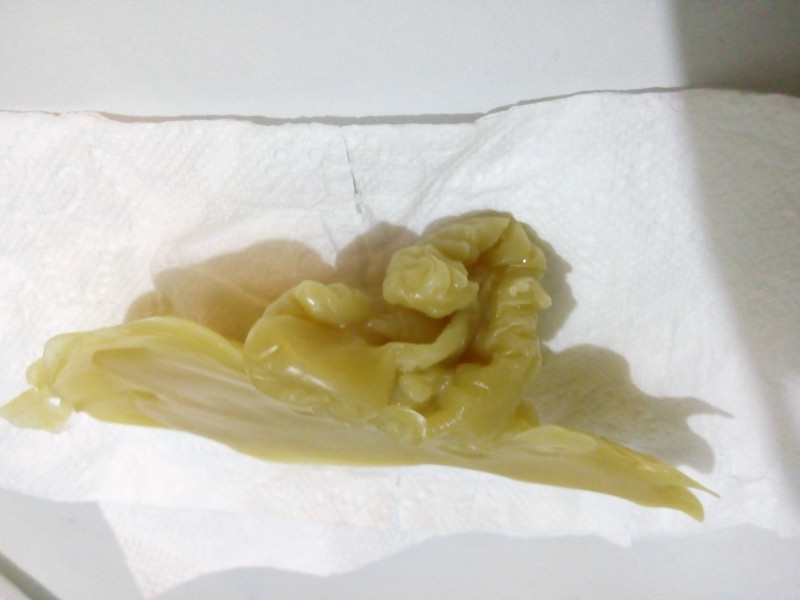 ОТЛИВКИ ВОСКОМ - 20161224_182855.jpg