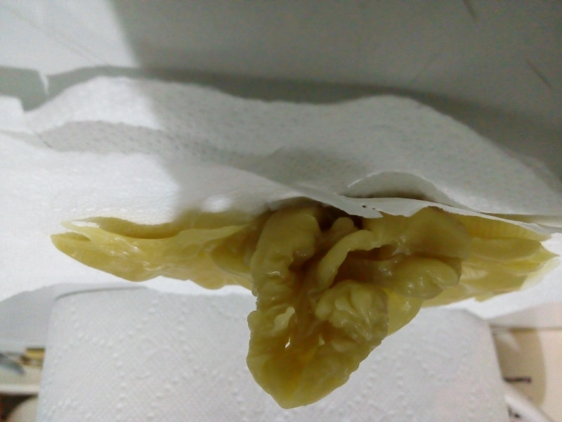 ОТЛИВКИ ВОСКОМ - 20161224_183511.jpg