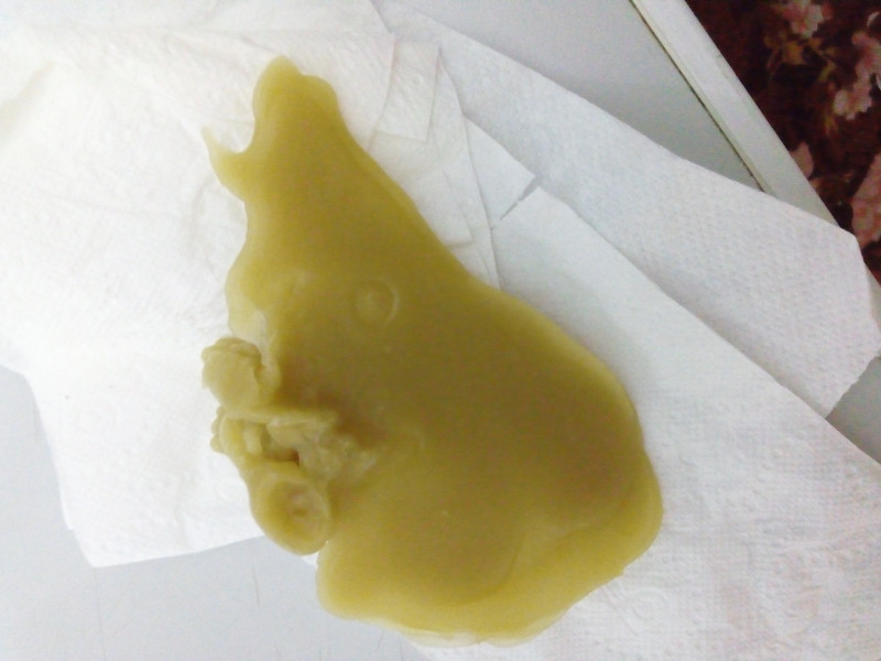 ОТЛИВКИ ВОСКОМ - 20161224_192051.jpg