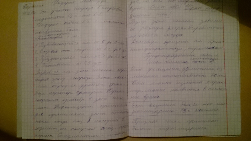 Рукопись неизвестного поэта итоги 26.02 - DSC_0159.JPG
