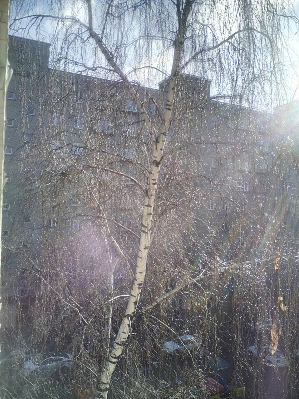 О жизни.. - IMG_20170323_074429.jpg