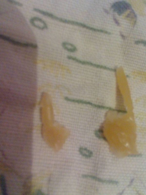 ОТЛИВКИ ВОСКОМ - IMG_20170327_161120.jpg