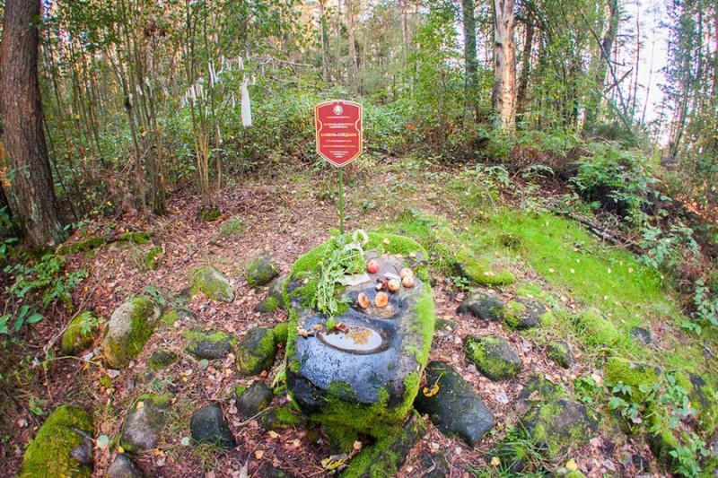 Живые криницы, камни – следовики, волшебные деревья. - 3.jpg