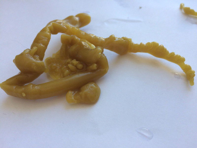 ОТЛИВКИ ВОСКОМ - CLHOVXOS-Wo.jpg