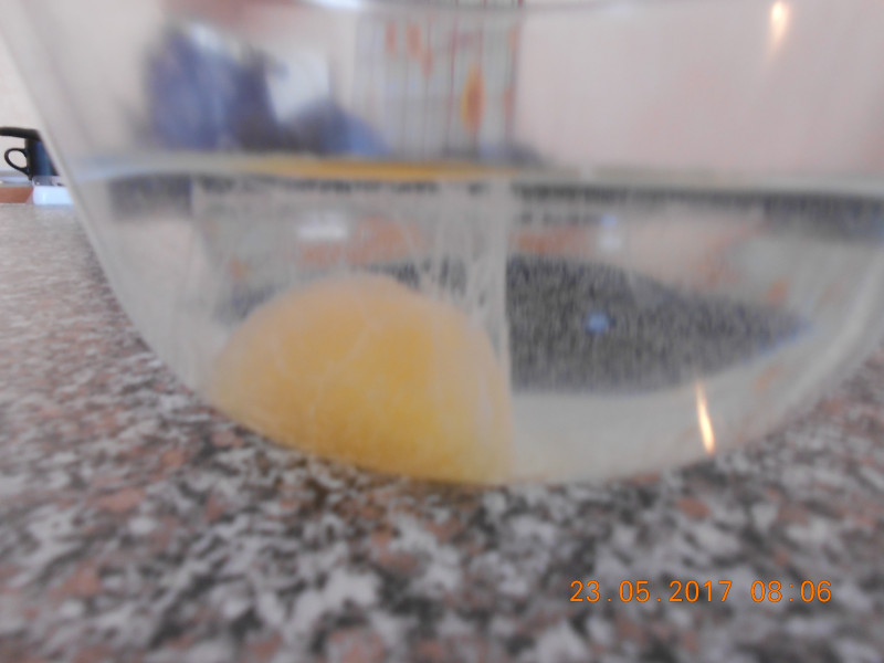 Диагностика при помощи куриного яйца - DSCN3267.JPG