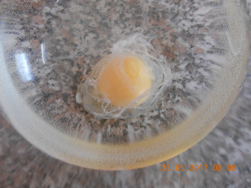 Диагностика при помощи куриного яйца - DSCN3266.JPG