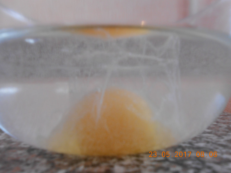 Диагностика при помощи куриного яйца - DSCN3265.JPG