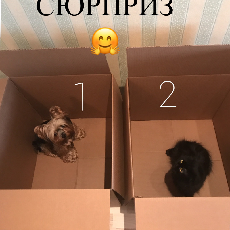 ИТОГИ ГОТОВЫ Коробки с сюрпризом ответы на 2 страничке 23 Мая вечером - IMG_5992.JPG