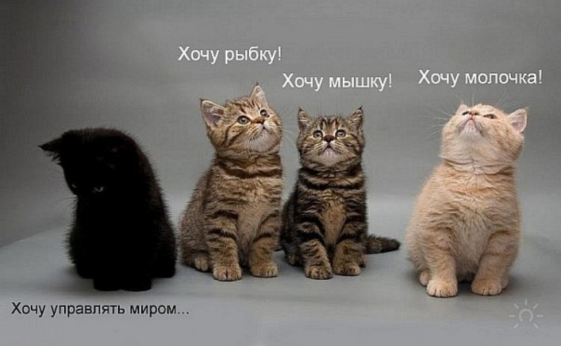 Чужие стихи, которые мы любим. - Мечты))).jpg