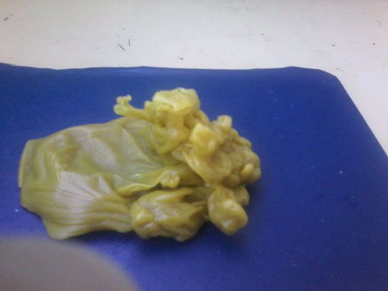 ОТЛИВКИ ВОСКОМ - 20170624_181559.jpg