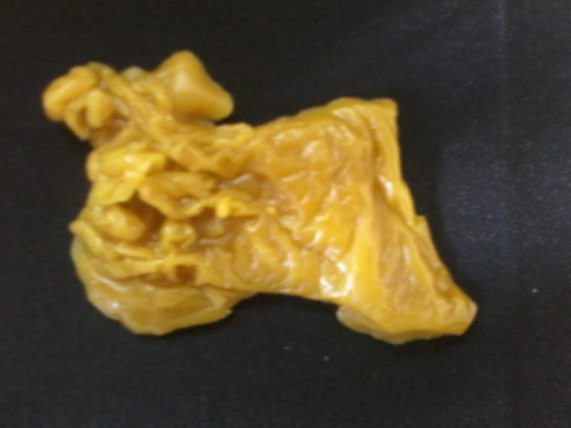 ОТЛИВКИ ВОСКОМ - 20170612_120517.jpg