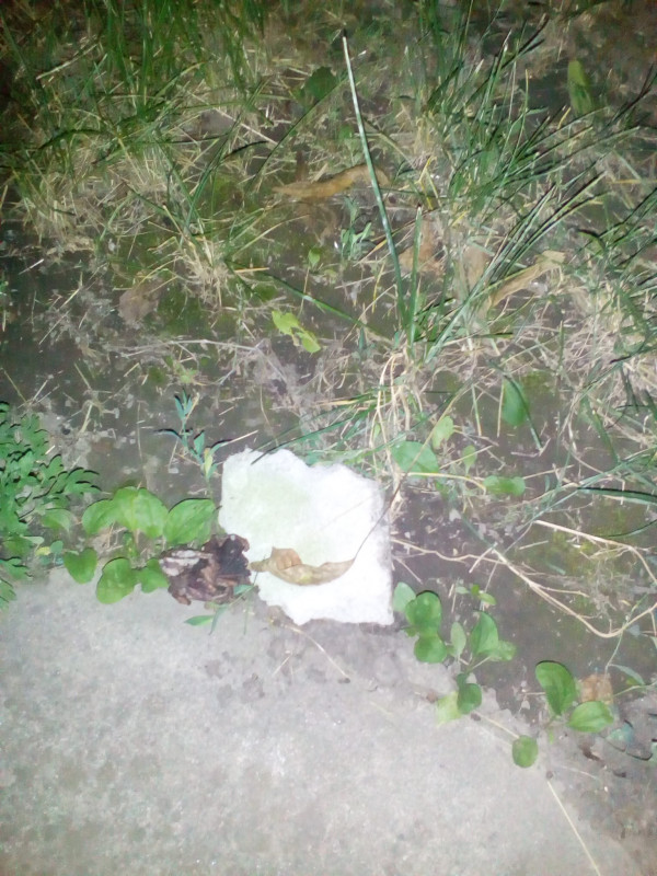 Нашли камень - IMG_20170705_222015[1].jpg