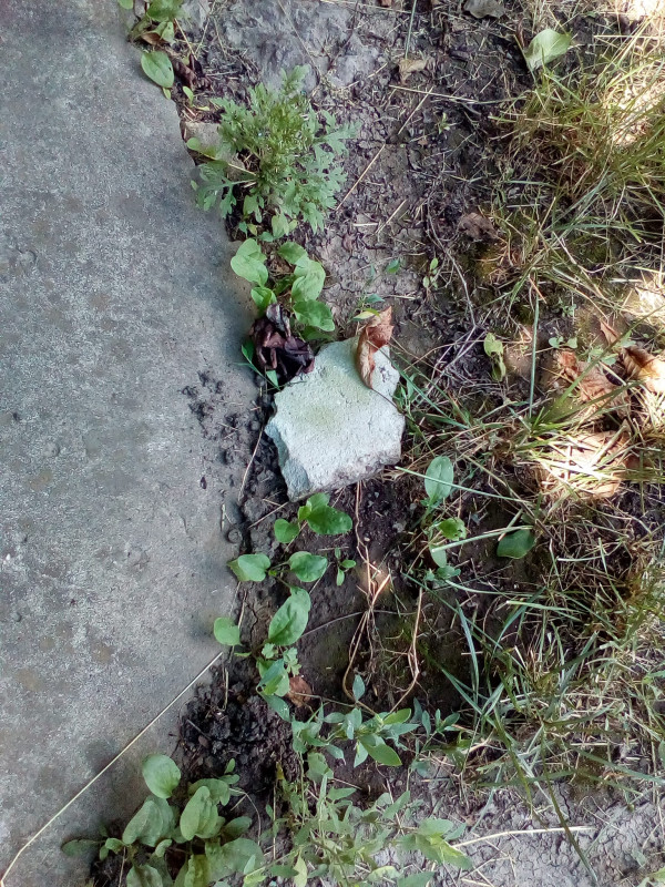Нашли камень - IMG_20170706_114654[1].jpg