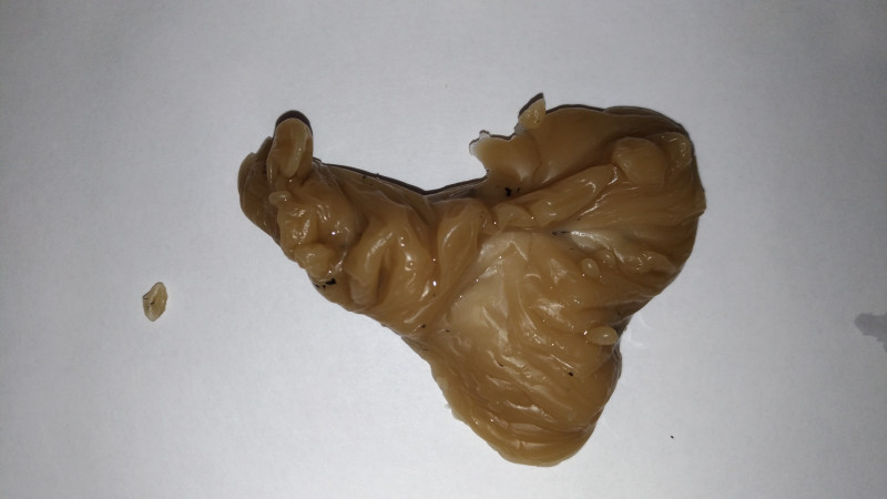 ОТЛИВКИ ВОСКОМ - P_20170710_011928_vHDR_On.jpg