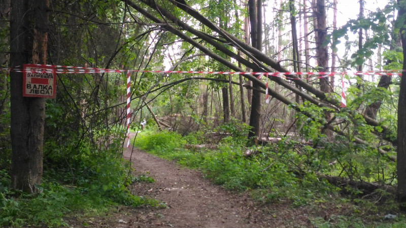 Вот и лето пришло  - SWBOTE7PuaM.jpg