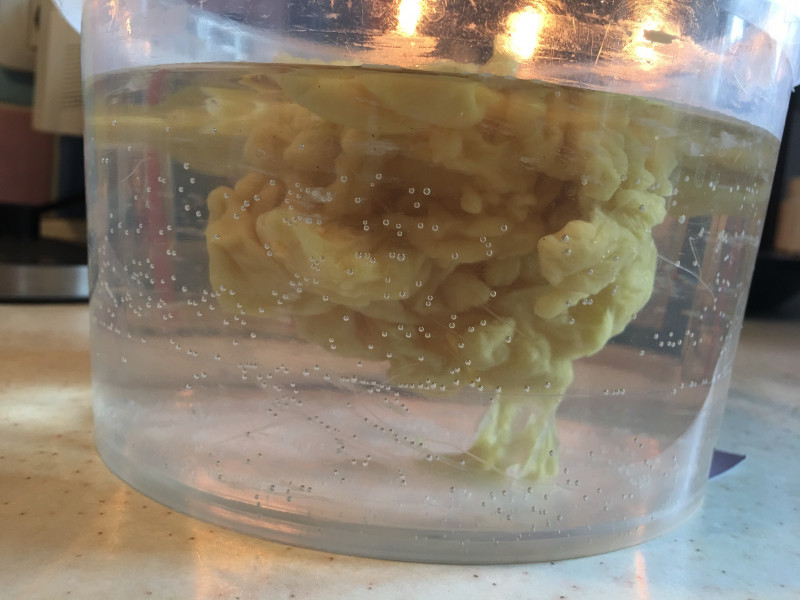 ОТЛИВКИ ВОСКОМ - IMG_8039.JPG