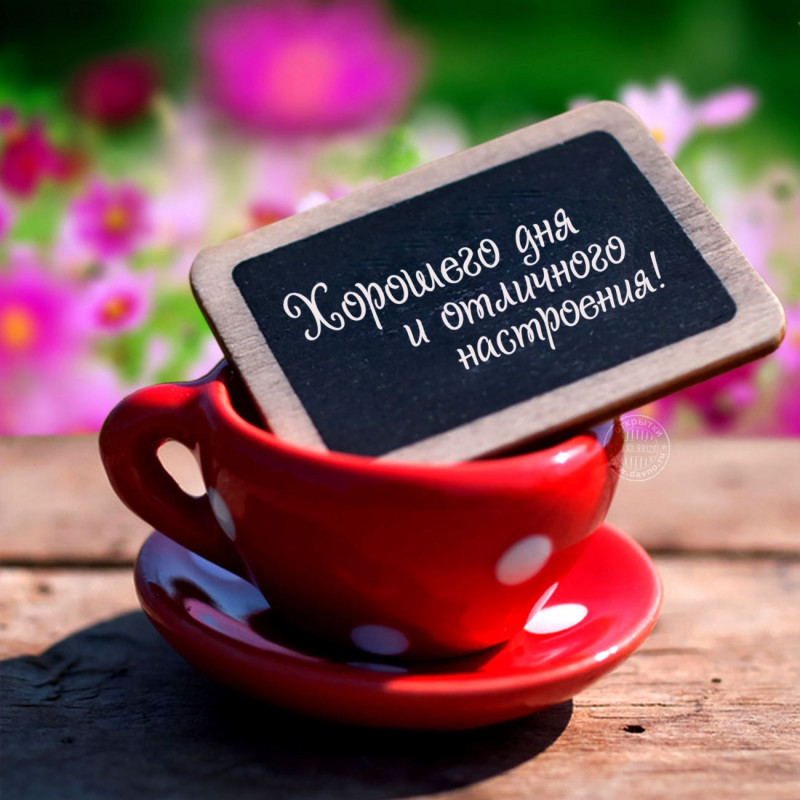 Благодарность S@ndr@ - pRDcEQRYoGw.jpg