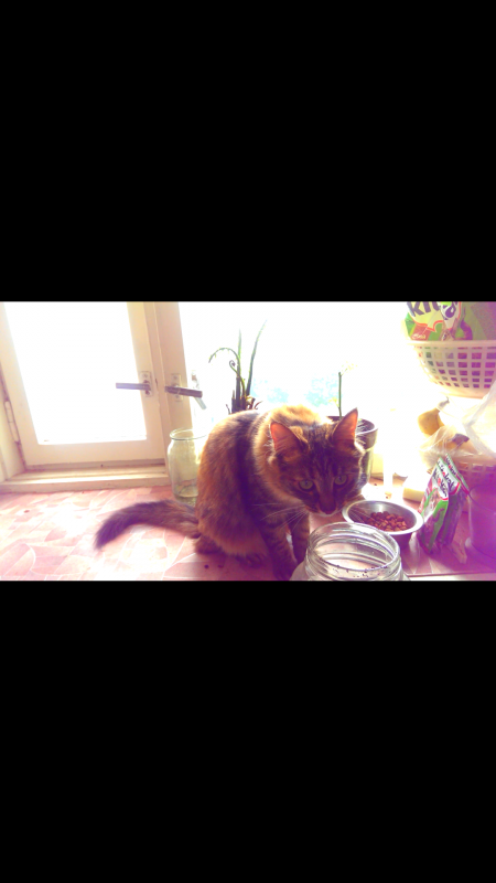 умоляю помогите  - Screenshot_2017-07-30-21-44-58.png