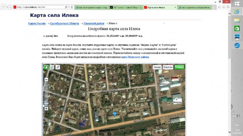 Пропала наша собака, помогите - rP1YZ3.jpg
