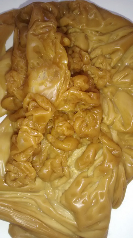 ОТЛИВКИ ВОСКОМ - IMG_20170731_081806703.jpg