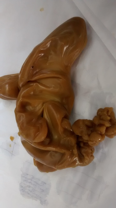 ОТЛИВКИ ВОСКОМ - IMG_20170801_081415511.jpg