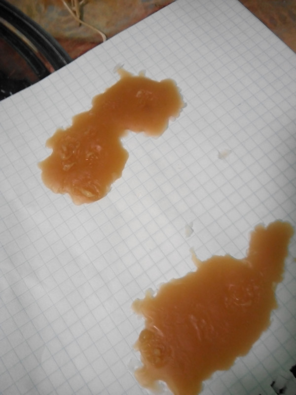 ОТЛИВКИ ВОСКОМ - IMG_20170805_032652.jpg