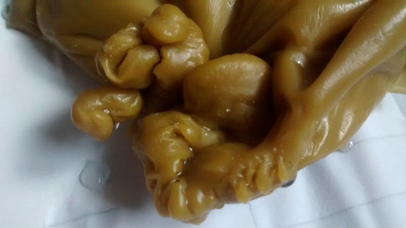 ОТЛИВКИ ВОСКОМ - IMG_20170805_074855482.jpg