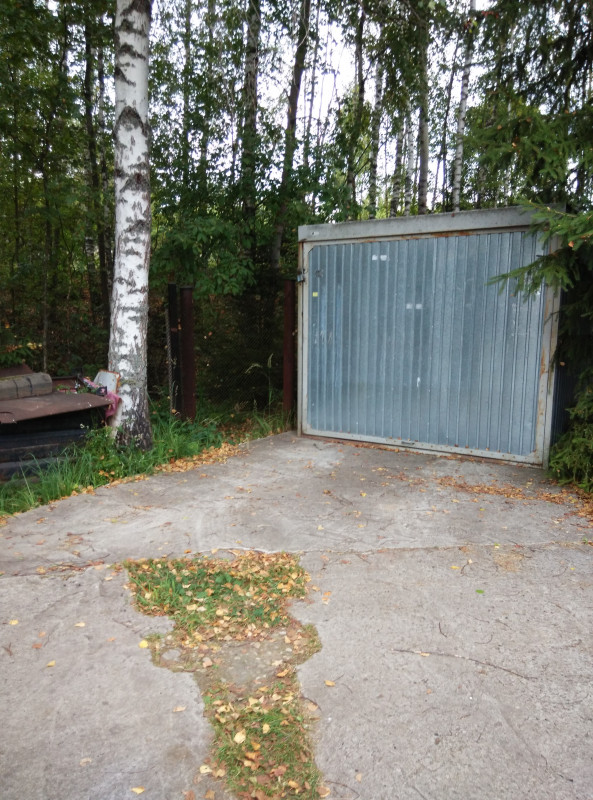 Жива ли кошечка? Вернётся ли она к нам? Пожалуйста, помогите  - garage04.JPG