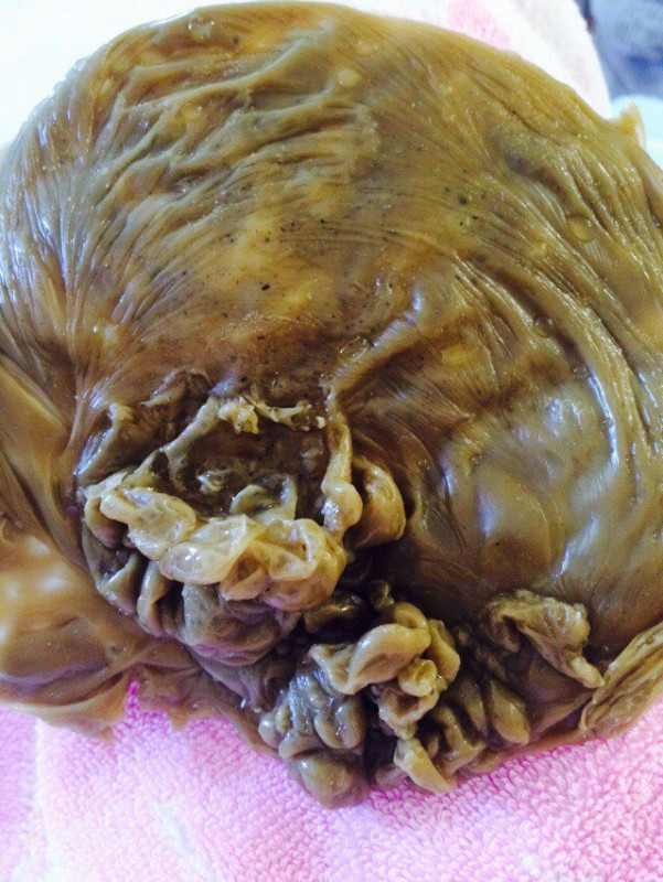 ОТЛИВКИ ВОСКОМ - xGWd0C9dExE.jpg