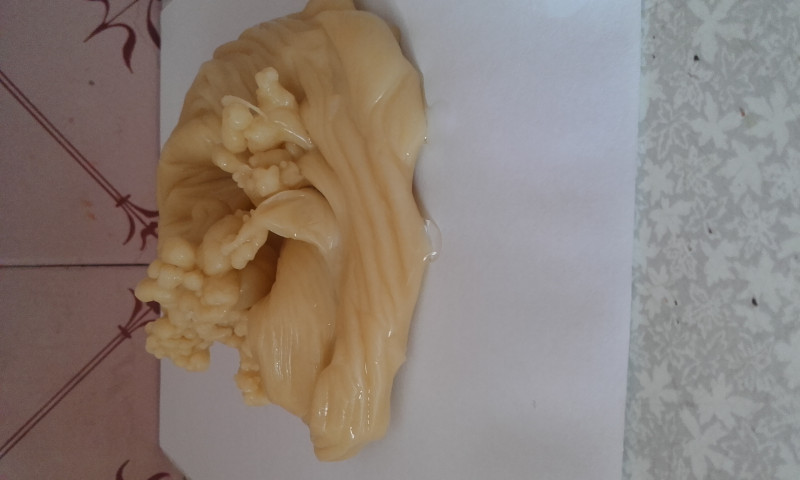 ОТЛИВКИ ВОСКОМ - 20170904_091043.jpg