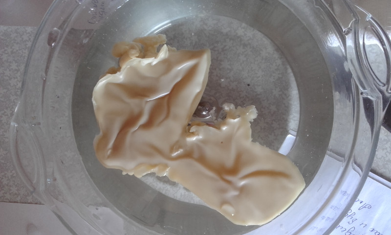 ОТЛИВКИ ВОСКОМ - 20170904_093720.jpg