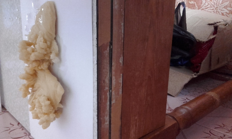 ОТЛИВКИ ВОСКОМ - 20170904_093833.jpg