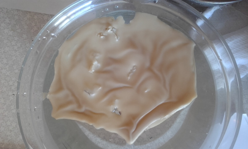 ОТЛИВКИ ВОСКОМ - 20170907_113922.jpg