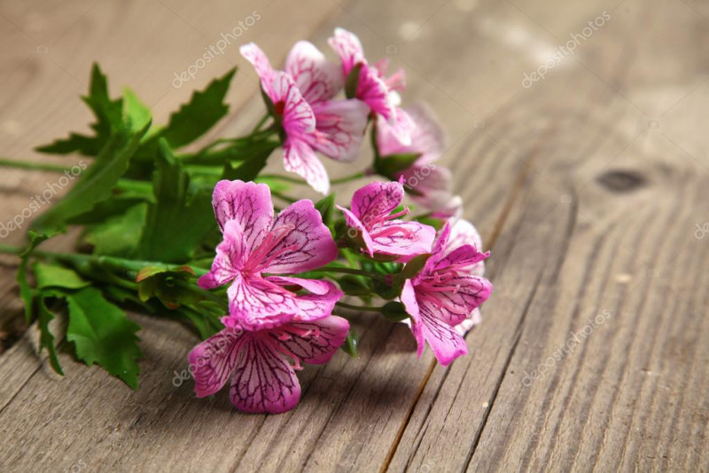 Утро начинается с него - до 28.10-ИТОГИ  - depositphotos_89240176-stock-photo-beautiful-flowers-lie-on-old.jpg