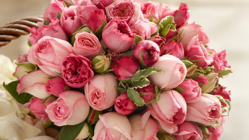 Talullah Tu, огромное спасибо  - flowers-bouquet-roses-pink-flower-wallpapers-big-size-1920x1080 (1).jpg