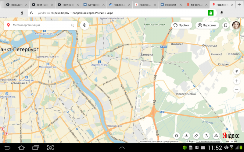 Пропала собака Камелот - Screenshot_2017-11-23-11-52-03.png