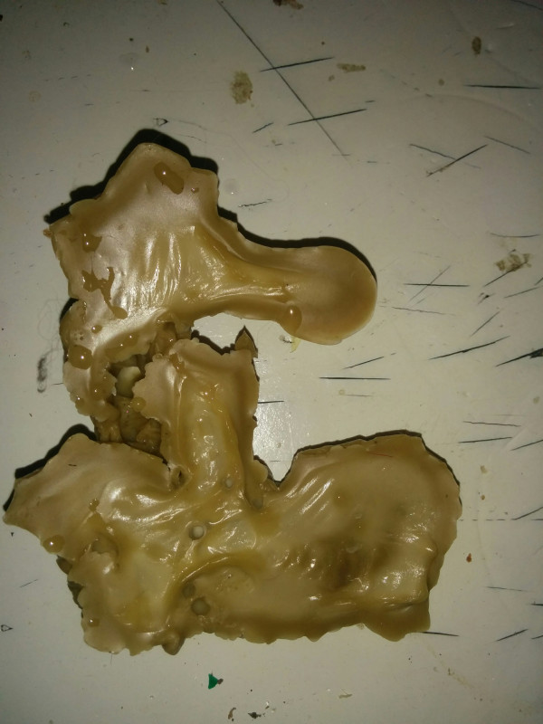 ОТЛИВКИ ВОСКОМ - IMG_20171016_092505.jpg