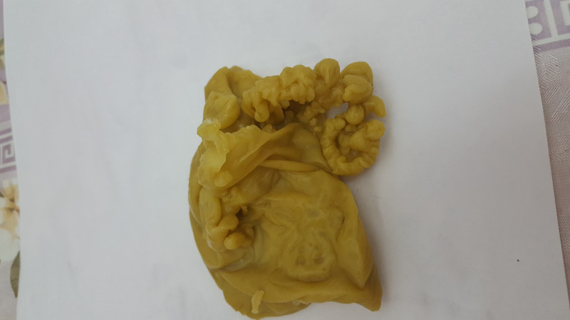 ОТЛИВКИ ВОСКОМ - 20171211_031001.jpg