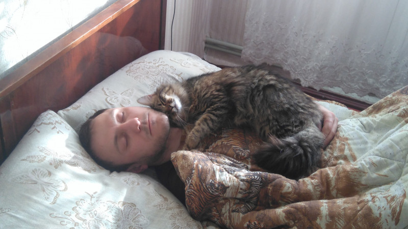Пропал котик Помогите пожалуйста  - DSC_0427.JPG