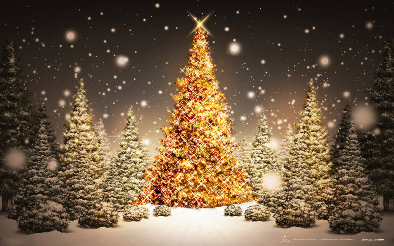 Благодарность для ЯГОДКА-МАЛИНКА - New_Year_wallpapers_Golden_tree_in_the_woods_on_New_Year_s_Eve_2015_088590_ (1).jpg