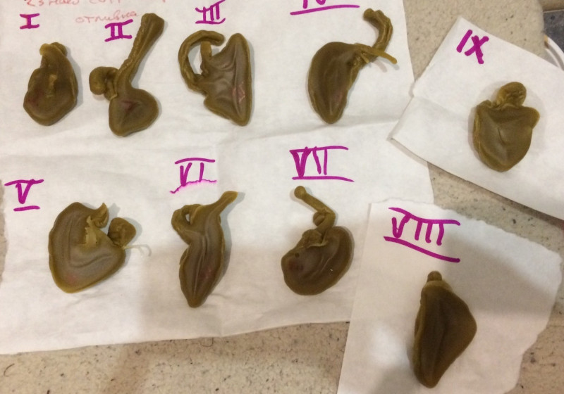 ОТЛИВКИ ВОСКОМ - image.jpeg