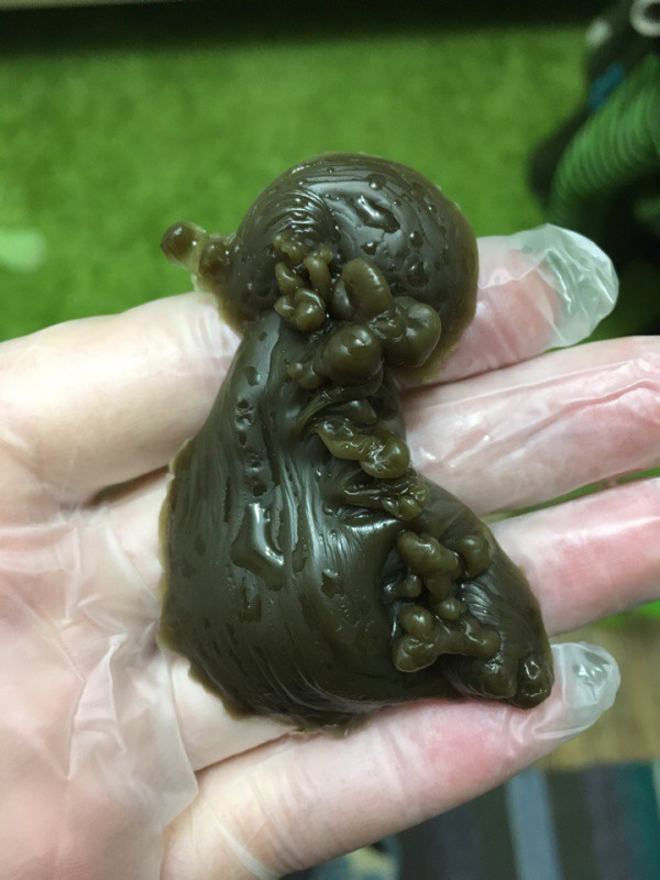 ОТЛИВКИ ВОСКОМ - ebSyUzMzE6o.jpg