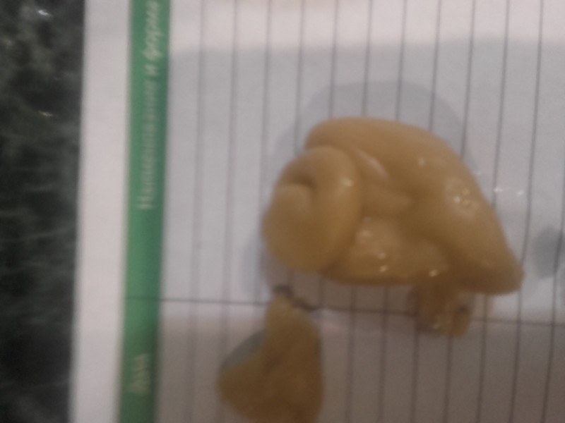 ОТЛИВКИ ВОСКОМ - 20180121_175918.jpg