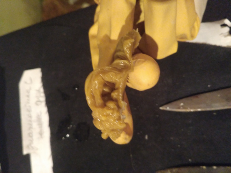 ОТЛИВКИ ВОСКОМ - IMG_20180226_185039.jpg