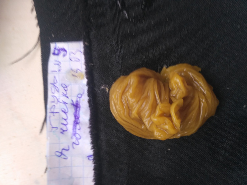 ОТЛИВКИ ВОСКОМ - IMG_20180315_160027.jpg