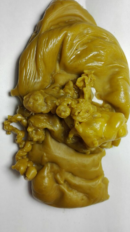 ОТЛИВКИ ВОСКОМ - витя.jpg