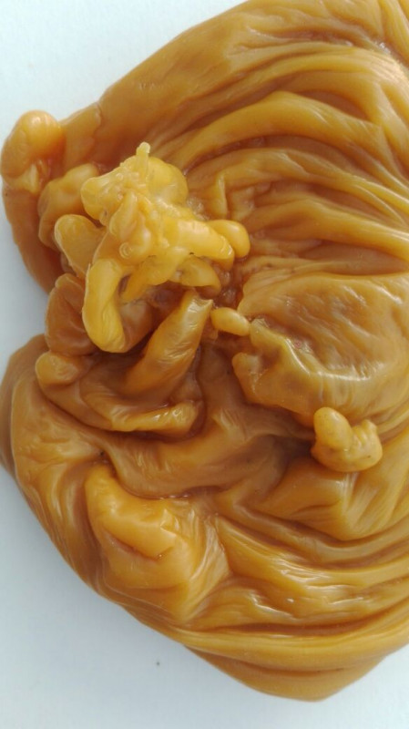 ОТЛИВКИ ВОСКОМ - витяслов14.04.jpg