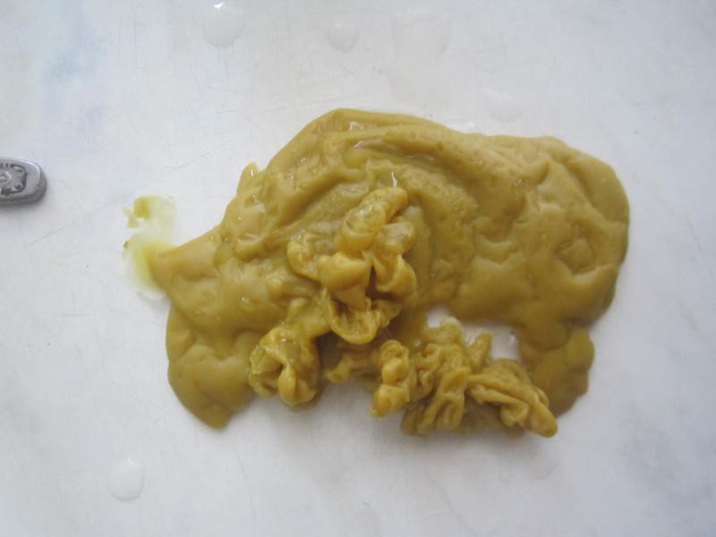 ОТЛИВКИ ВОСКОМ - 6 (2).JPG